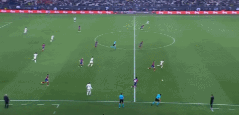 博彩公司宠物友好办公室政策