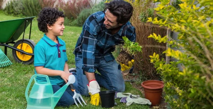 Landscaping: The Best Idea You’ve Ever Had - mk体育2