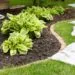 Landscaping: The Best Idea You’ve Ever Had - mk体育2