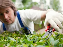About Garden Hub - mk体育2