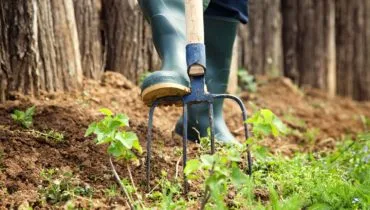 Welcome to GardenHub - mk体育2