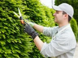 关于 Garden Hub - mk体育2
